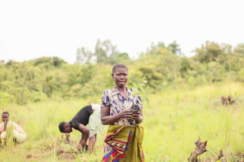 21 Feb 2021 Tree Planting in Nkhotakota